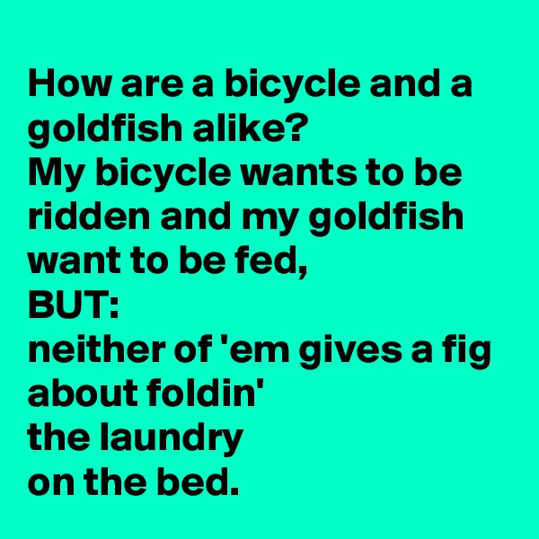 How are a bicycle and a goldfish alike?
My bicycle wants to be ridden and my goldfish want to be fed,
BUT:
neither of 'em gives a fig
about foldin'
the laundry
on the bed.