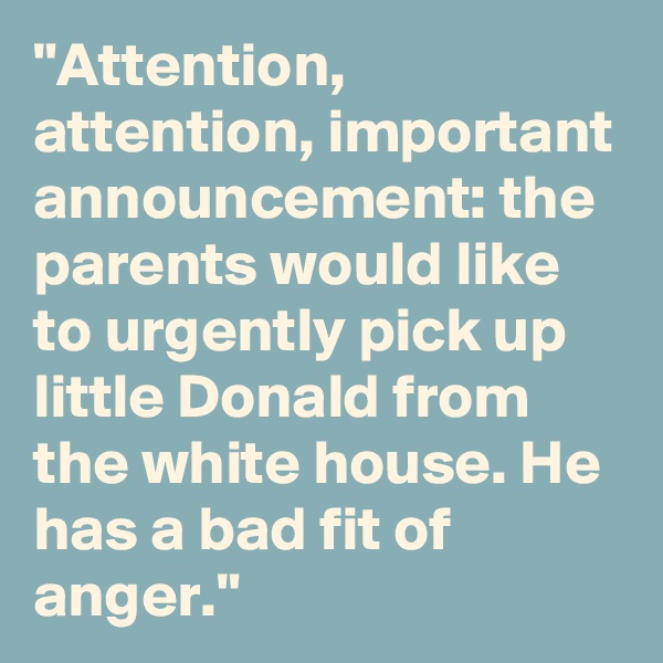 "Attention, attention, important announcement: the parents would like to urgently pick up little Donald from the white house. He has a bad fit of anger."