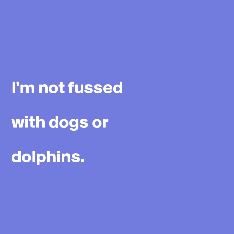 



I'm not fussed 

with dogs or 

dolphins. 


