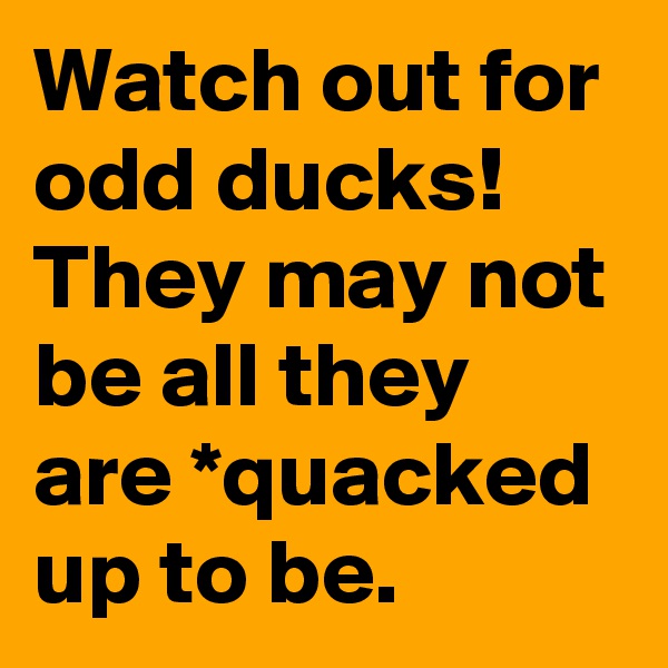 Watch out for
odd ducks! They may not be all they are *quacked up to be.