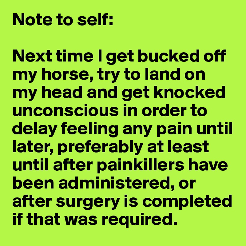 Note to self:

Next time I get bucked off my horse, try to land on my head and get knocked unconscious in order to delay feeling any pain until later, preferably at least until after painkillers have been administered, or after surgery is completed if that was required.