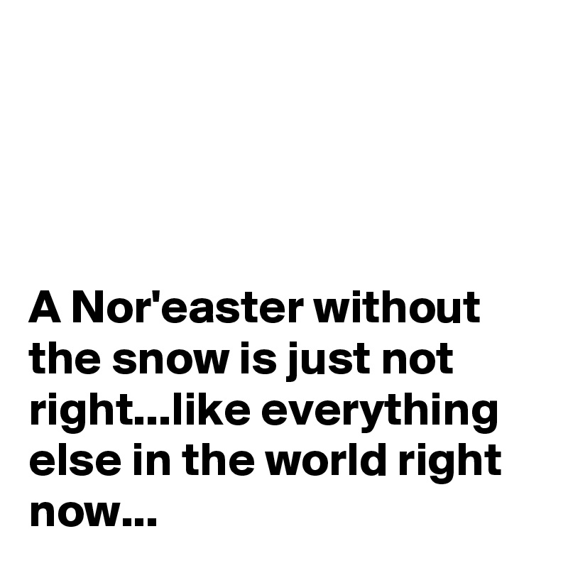 




A Nor'easter without the snow is just not right...like everything else in the world right now...