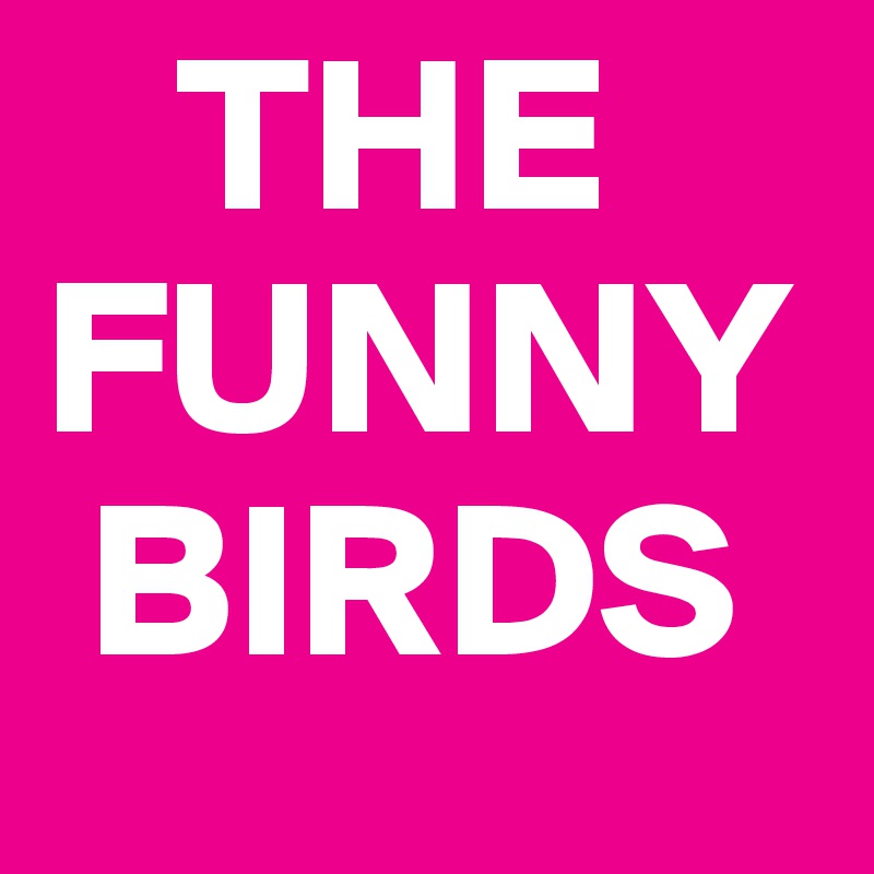    THE FUNNY   
 BIRDS