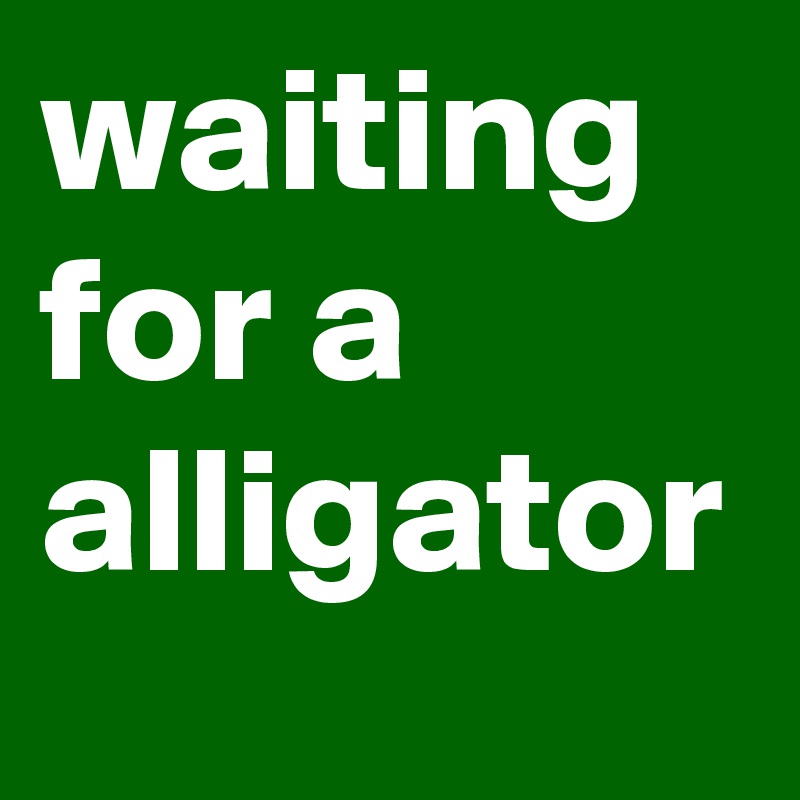 waiting for a alligator 