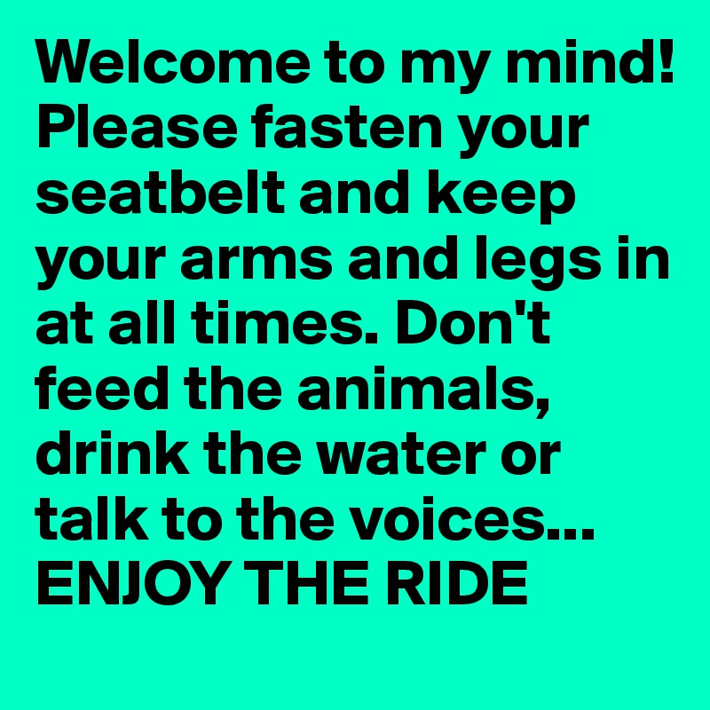 Welcome to my mind!Please fasten your seatbelt and keep your arms and legs in at all times. Don't feed the animals, drink the water or talk to the voices... ENJOY THE RIDE