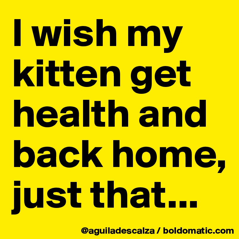 I wish my kitten get health and back home, just that...