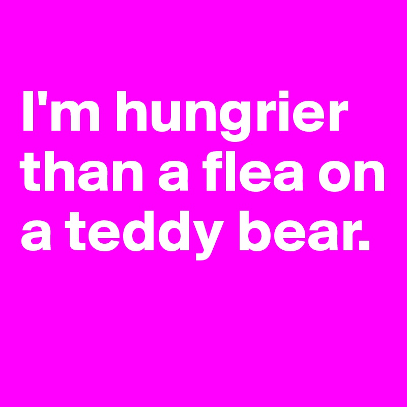 
I'm hungrier than a flea on a teddy bear.

