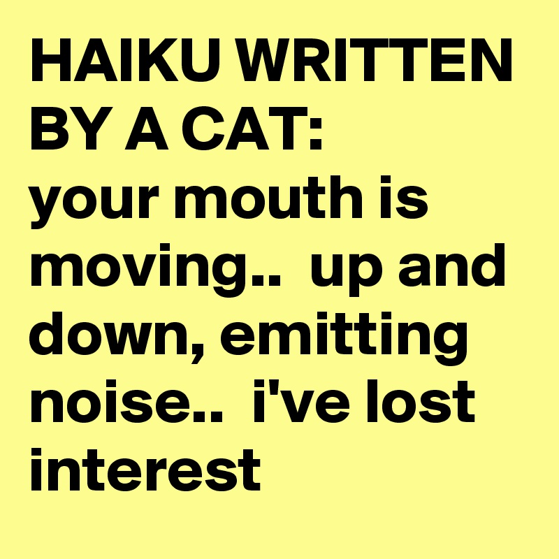 HAIKU WRITTEN BY A CAT:       your mouth is moving..  up and down, emitting noise..  i've lost interest