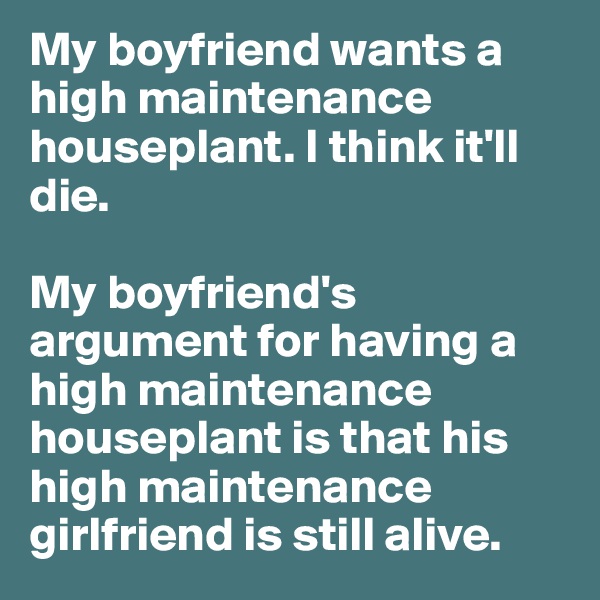My boyfriend wants a high maintenance houseplant. I think it'll die. 

My boyfriend's argument for having a high maintenance houseplant is that his high maintenance girlfriend is still alive.