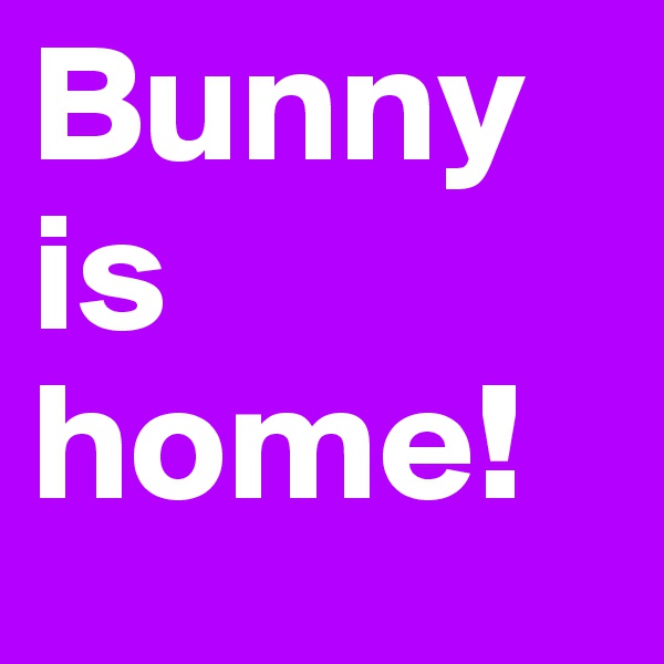 Bunny is home! 