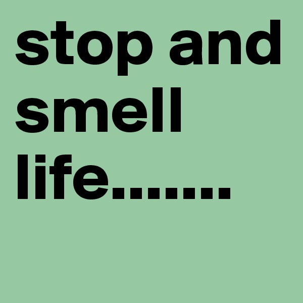 stop and smell life....... 
