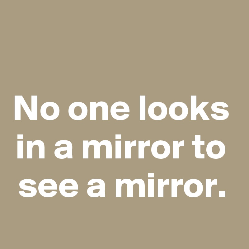 

No one looks in a mirror to see a mirror.