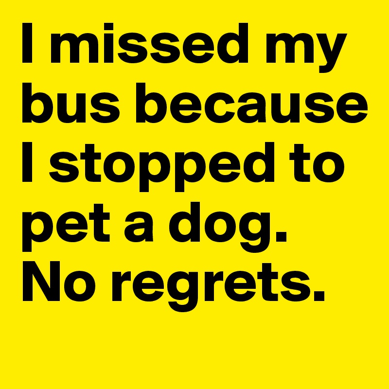 I missed my bus because I stopped to pet a dog. No regrets.