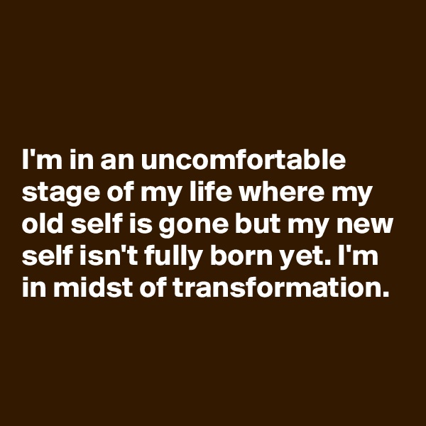 


I'm in an uncomfortable stage of my life where my old self is gone but my new self isn't fully born yet. I'm in midst of transformation.


