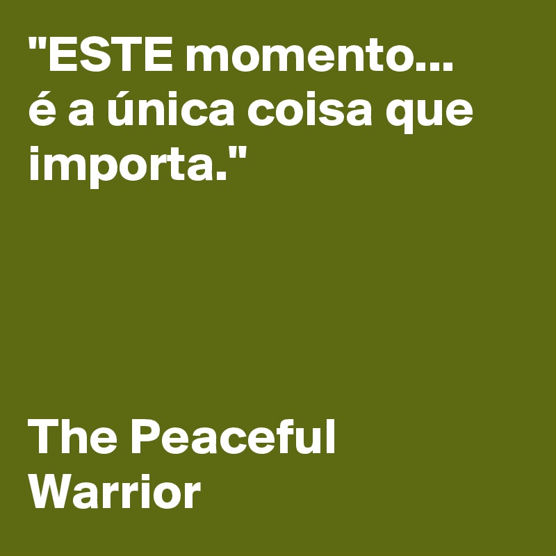 "ESTE momento... 
é a única coisa que importa." 




The Peaceful Warrior