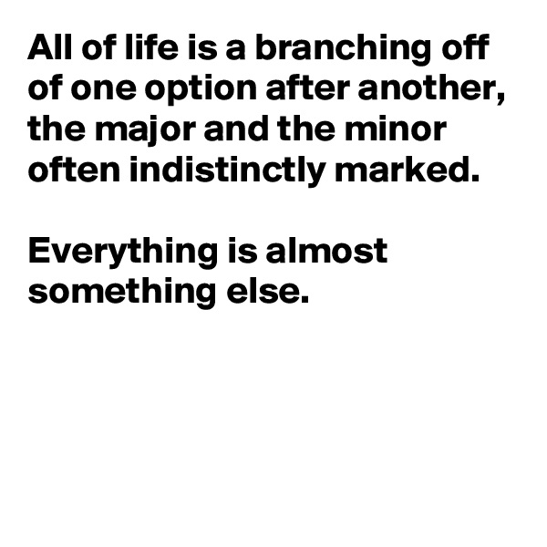 All of life is a branching off of one option after another, the major and the minor often indistinctly marked. 

Everything is almost something else.




