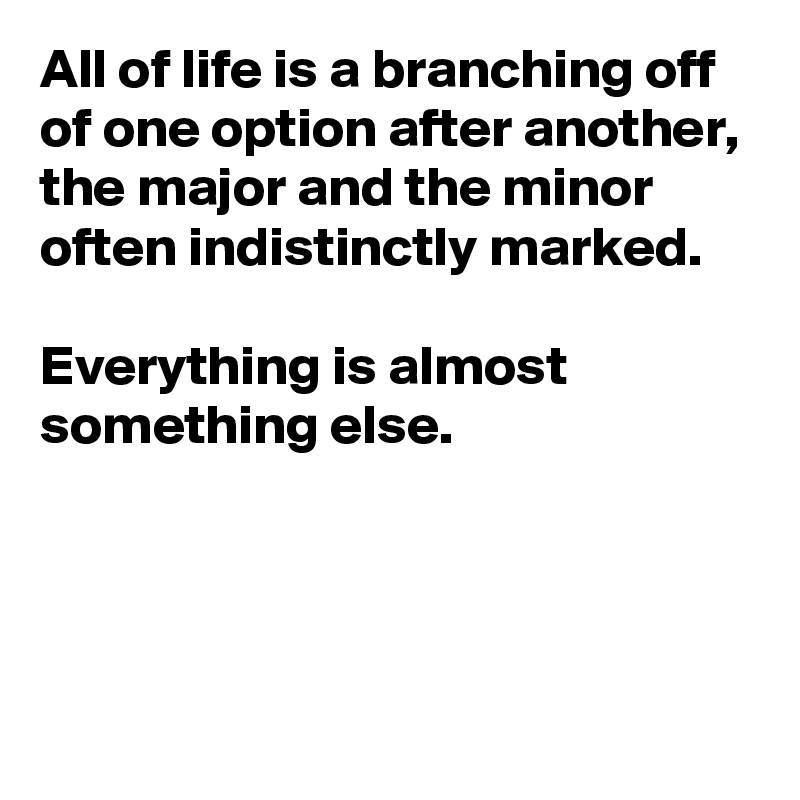 All of life is a branching off of one option after another, the major and the minor often indistinctly marked. 

Everything is almost something else.





