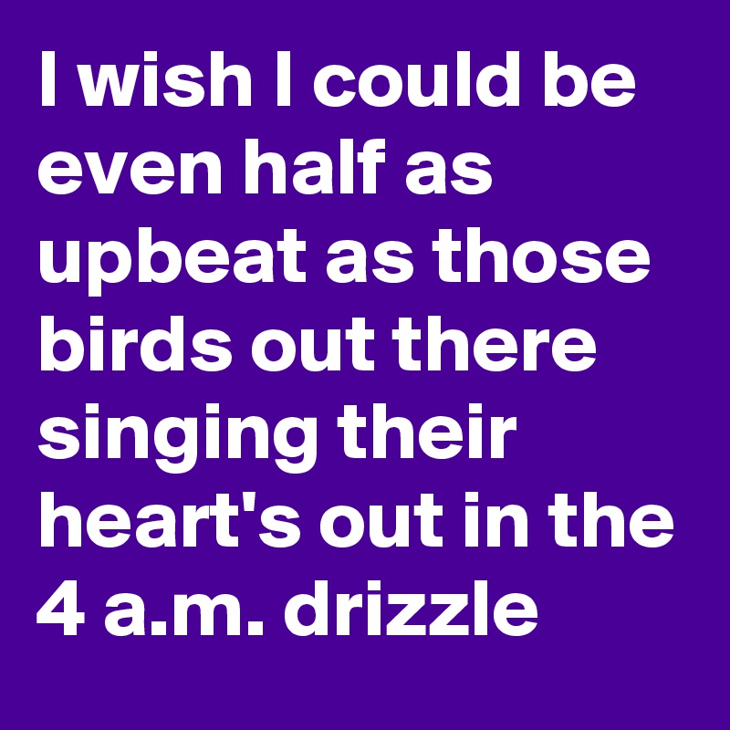 I wish I could be even half as upbeat as those birds out there singing their heart's out in the 4 a.m. drizzle