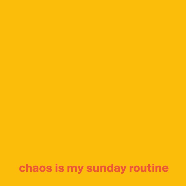 








 

  
    chaos is my sunday routine