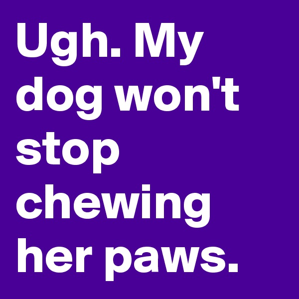 Ugh. My dog won't stop chewing her paws.