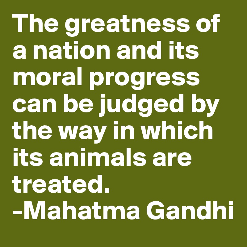 The greatness of a nation and its moral progress can be judged by the way in which its animals are treated.
-Mahatma Gandhi