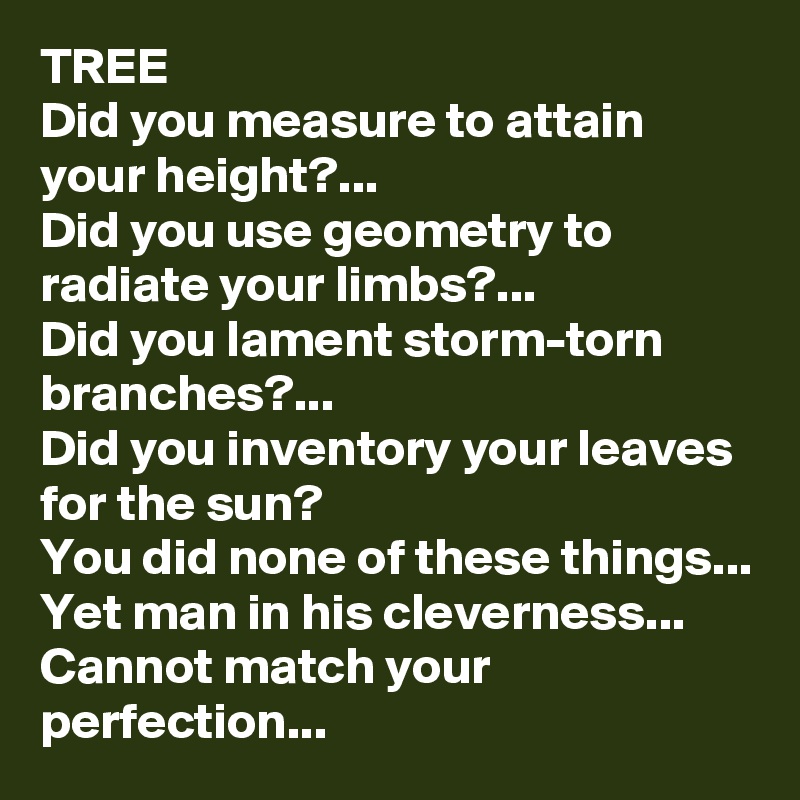 TREE
Did you measure to attain your height?...
Did you use geometry to radiate your limbs?...
Did you lament storm-torn branches?...
Did you inventory your leaves for the sun?
You did none of these things...
Yet man in his cleverness...
Cannot match your perfection...