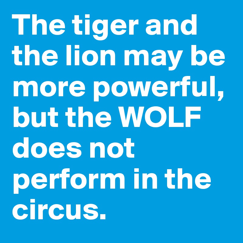 The tiger and the lion may be more powerful, but the WOLF does not perform in the circus. 
