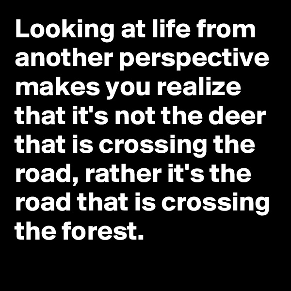 Looking at life from another perspective makes you realize that it's not the deer that is crossing the road, rather it's the road that is crossing the forest.