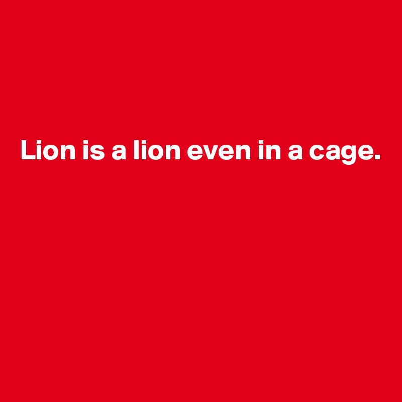 



Lion is a lion even in a cage. 






