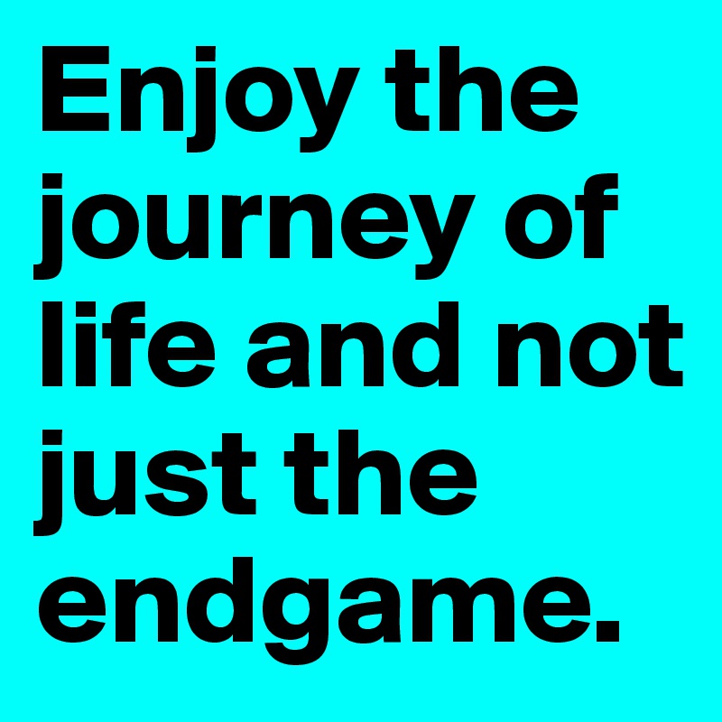 Enjoy the journey of life and not just the endgame.