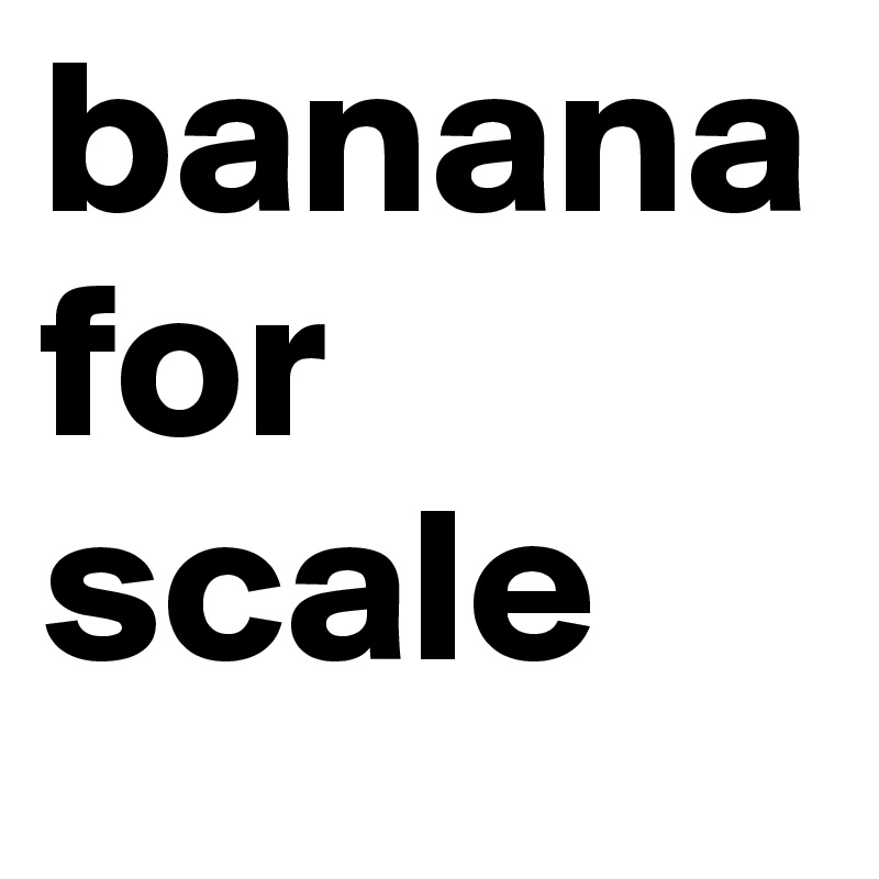 banana for
scale