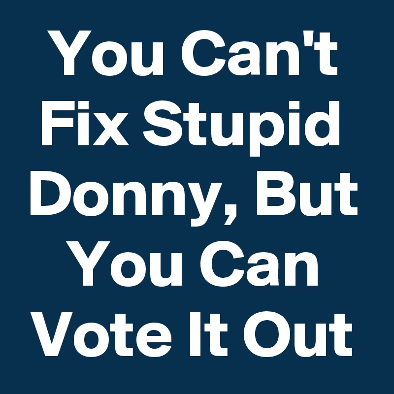 You Can't Fix Stupid Donny, But You Can Vote It Out