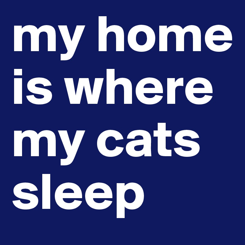 my home is where my cats sleep