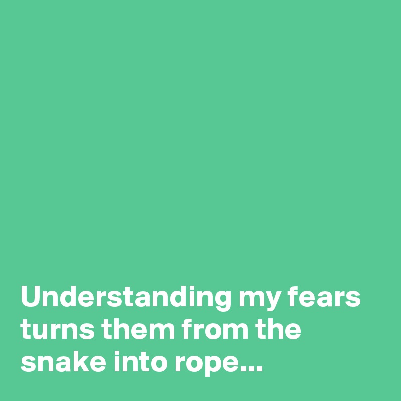







Understanding my fears turns them from the snake into rope...