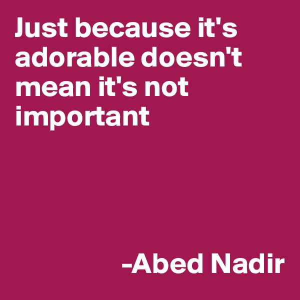 Just because it's adorable doesn't mean it's not important 




                  -Abed Nadir