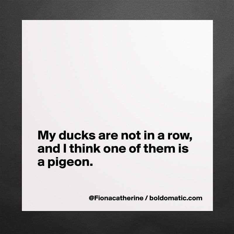 






My ducks are not in a row,
and I think one of them is
a pigeon.  

 Matte White Poster Print Statement Custom 