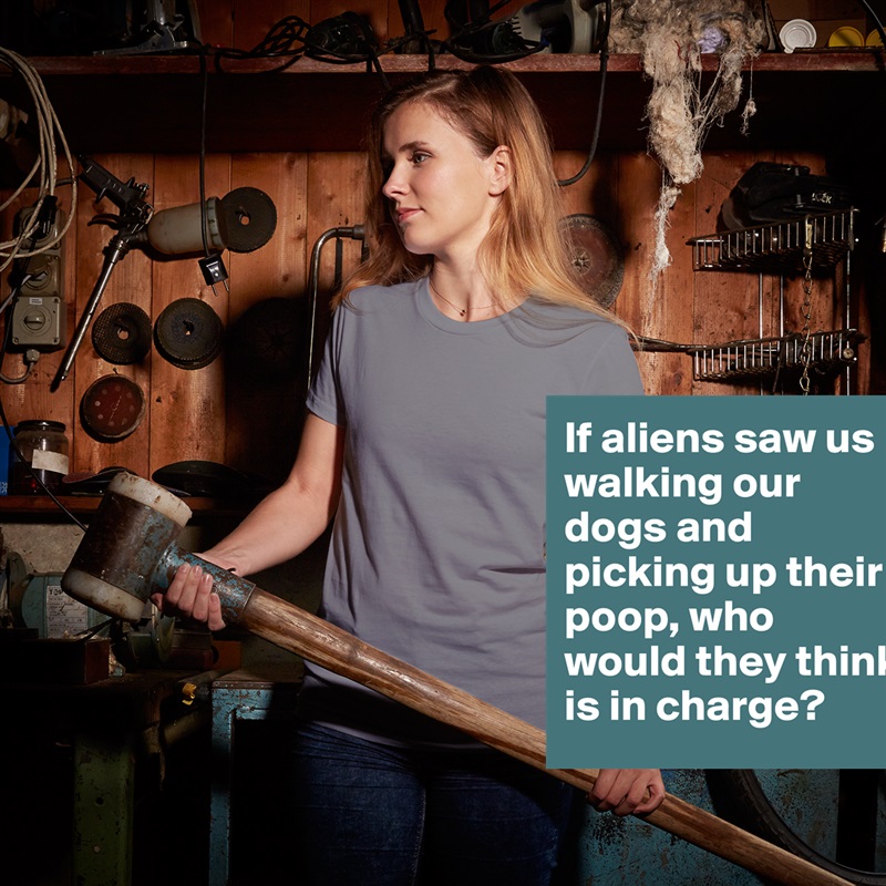 If aliens saw us walking our dogs and picking up their poop, who would they think is in charge? White American Apparel Short Sleeve Tshirt Custom 
