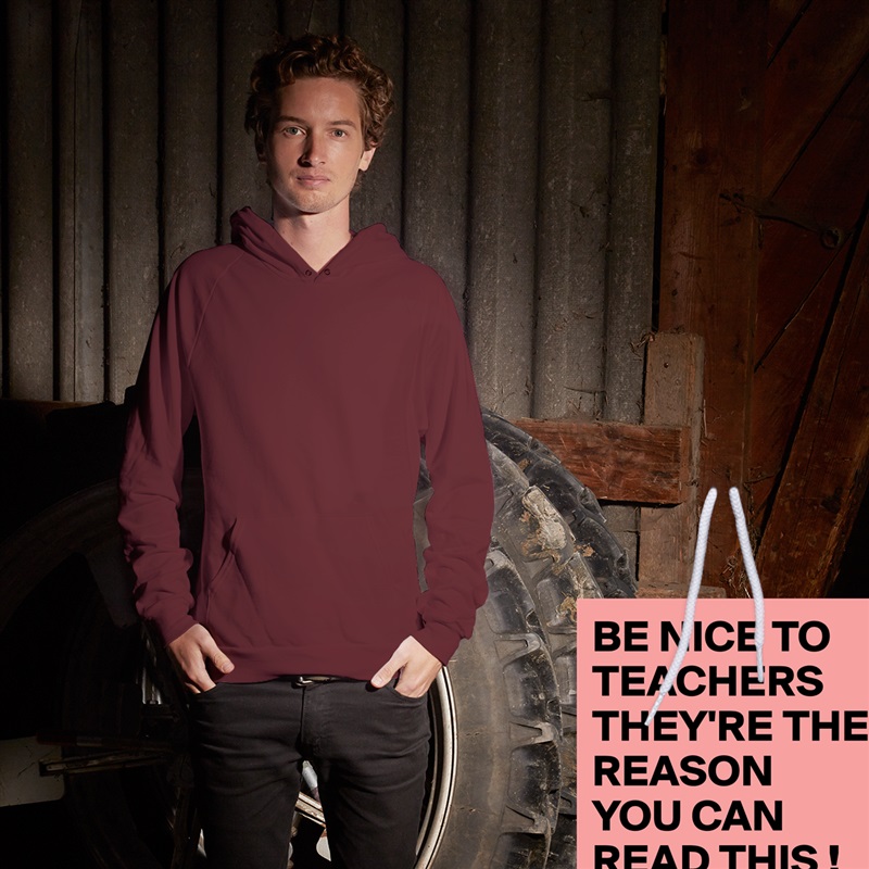 BE NICE TO TEACHERS THEY'RE THE REASON YOU CAN READ THIS ! White American Apparel Unisex Pullover Hoodie Custom  