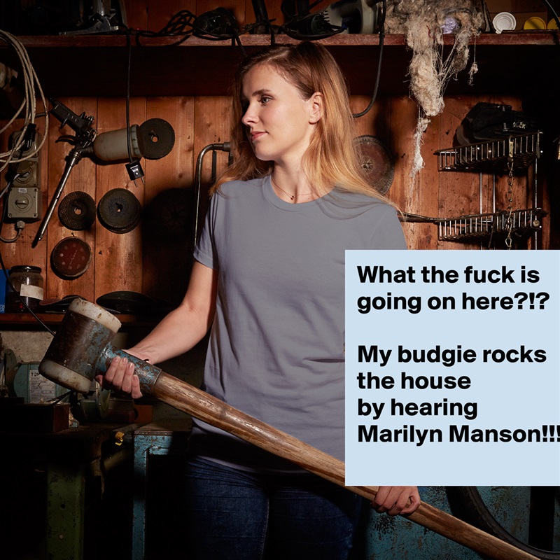 What the fuck is going on here?!?

My budgie rocks the house
by hearing Marilyn Manson!!! White American Apparel Short Sleeve Tshirt Custom 