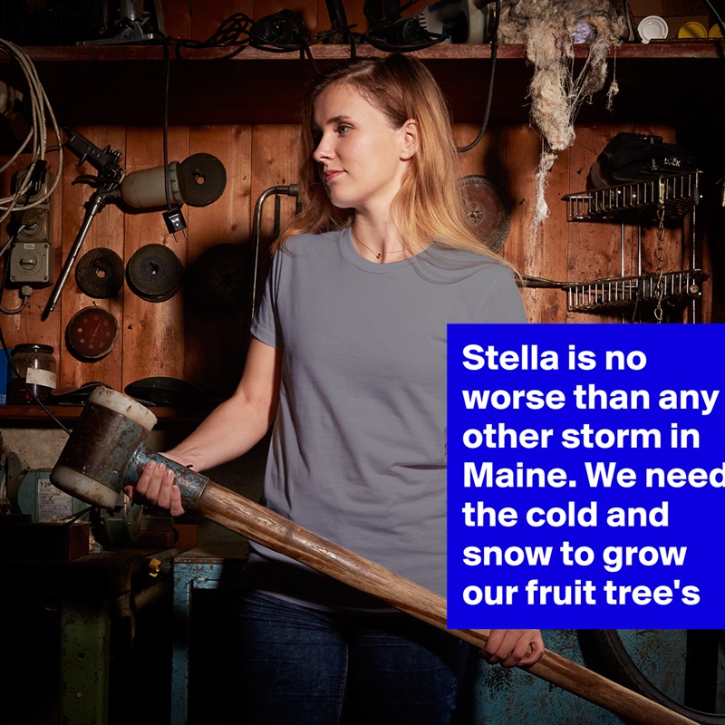 Stella is no worse than any other storm in Maine. We need the cold and snow to grow our fruit tree's  White American Apparel Short Sleeve Tshirt Custom 