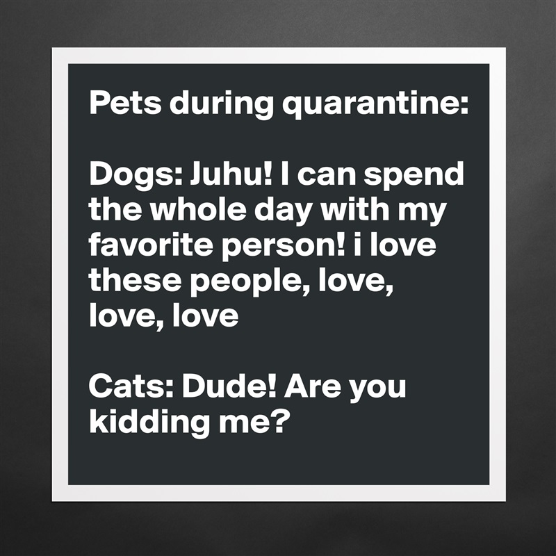 Pets during quarantine:

Dogs: Juhu! I can spend the whole day with my favorite person! i love these people, love, love, love

Cats: Dude! Are you kidding me? Matte White Poster Print Statement Custom 