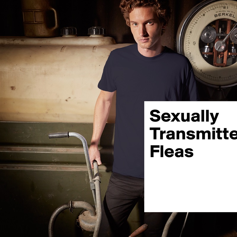 Sexually
Transmitted
Fleas

 White Tshirt American Apparel Custom Men 