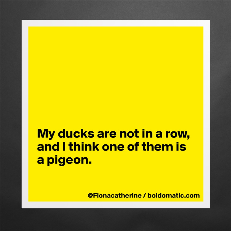 






My ducks are not in a row,
and I think one of them is
a pigeon.  

 Matte White Poster Print Statement Custom 