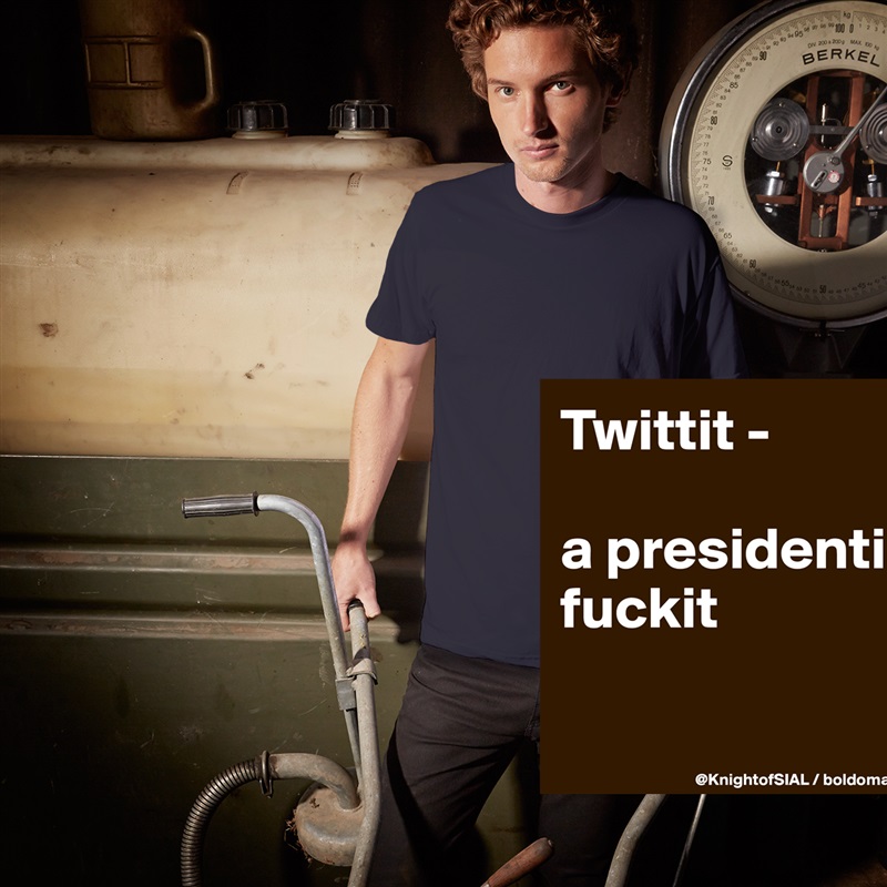 Twittit -

a presidential fuckit

 White Tshirt American Apparel Custom Men 