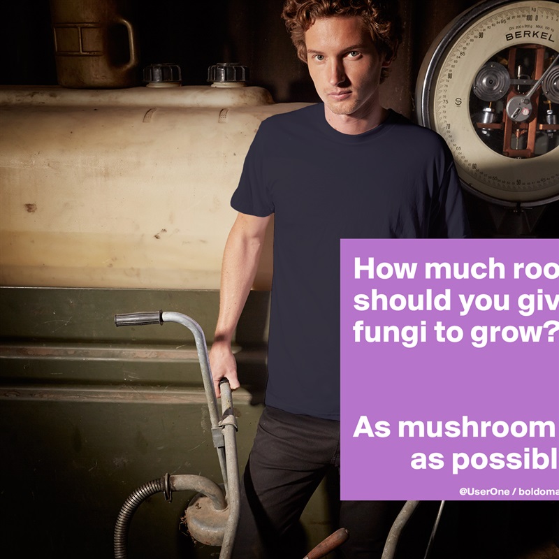 How much room 
should you give 
fungi to grow?


As mushroom 
         as possible. White Tshirt American Apparel Custom Men 