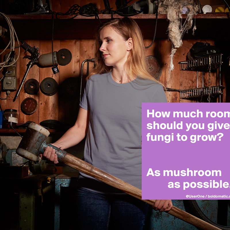 How much room 
should you give 
fungi to grow?


As mushroom 
         as possible. White American Apparel Short Sleeve Tshirt Custom 