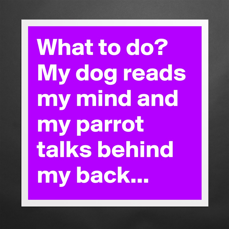 What to do? My dog reads my mind and my parrot talks behind my back... Matte White Poster Print Statement Custom 