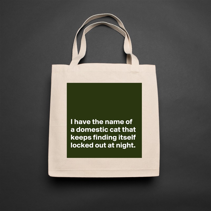 



I have the name of a domestic cat that keeps finding itself locked out at night. Natural Eco Cotton Canvas Tote 