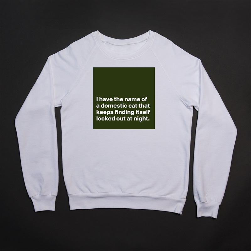



I have the name of a domestic cat that keeps finding itself locked out at night. White Gildan Heavy Blend Crewneck Sweatshirt 
