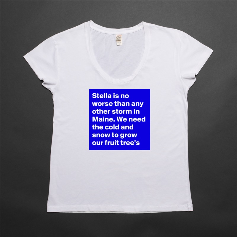 Stella is no worse than any other storm in Maine. We need the cold and snow to grow our fruit tree's  White Womens Women Shirt T-Shirt Quote Custom Roadtrip Satin Jersey 